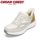 スパットシューズ メンズ靴 靴 シューズ 2E相当 スニーカー 着脱簡単 クッション性 柔軟性 人気 ブランド セダークレスト CEDAR CREST CC-60770 アイボリー SP