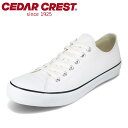 【EC限定カラー】セダークレスト CEDAR CREST CC-9408 メンズ靴 靴 シューズ 3E相当 キャンバススニーカー ローカットスニーカー カジュア...