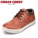 【30%OFFクーポン】セダークレスト CEDAR CREST CC-1011 2E スニーカー カジュアルシューズ 防水 防滑 滑りにくい ローカットスニーカー カジュアルスニーカー ブラウン SP