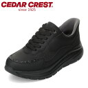 【40%OFFクーポン】セダークレスト CEDAR CREST CC-3503 レディース靴 靴 スパットシューズ(スニーカータイプ)シューズ 3E スニーカー...