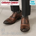ビジネスシューズ ストレートチップ 軽量 超撥水 滑りにくい ストレッチ クッション 通勤 仕事 ダークブラウン CEDAR CREST セダークレスト CC-...