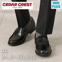 セダークレスト CEDAR CREST CC-1303 メンズ靴 靴 シューズ 3E相当 コインローファー 洗える ウォッシャブル 清潔 学生 通学 学校 オフィス 通勤 通学 ブラック SP