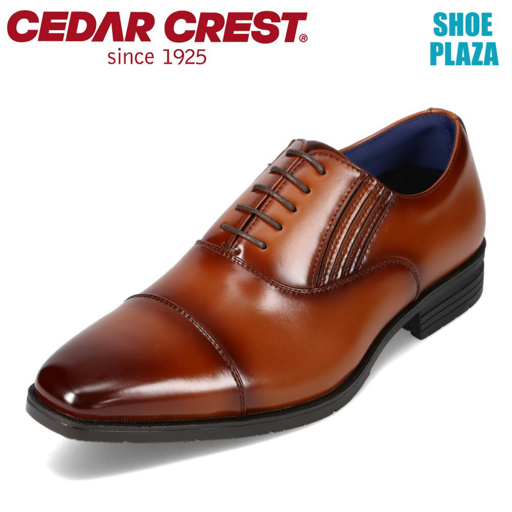 P10ܡ9&1020:004Hۥ쥹 CEDAR CREST CC-1341 󥺷  塼 4E ӥͥ塼 Ⱪ ȥ졼ȥå   ɳ ɱ ⤭䤹 ˤʤ ɥ æ䤹 Ż 饤ȥ֥饦