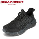 【25日まで毎日4H限定★P10倍】セダークレスト CEDAR CREST CC9851 メンズ靴 靴 シューズ 2E相当 スニーカー 防水 蒸れない 防滑 透湿 ローカットスニーカー シンプル ブラック TSRC