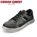 【10%OFFクーポン】セダークレスト CEDAR CREST CC-1230 メンズ靴 靴 シューズ 3E相当 スニーカー ローカット 防水 雨の日 レースア...