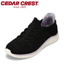 【25日まで毎日4H限定★P10倍】セダークレスト CEDAR CREST CC-2508 レディース靴 靴 シューズ 2E スニーカー スパットシューズ ロー...