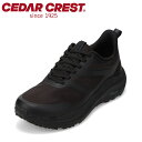 【25日まで毎日4H限定★P10倍】セダークレスト ウォッシャブル CEDAR CREST CC-9853M メンズ靴 靴 シューズ 2E相当 スニーカー 透湿 防水 軽量 雨 高機能 アウトドア キャンプ ハイキング ローカットスニーカー シンプル スタイリッシュ ブラック TSRC