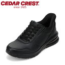 【25日まで毎日4H限定★P10倍】セダークレスト CEDAR CREST CC-60911 メンズ靴 靴 シューズ 2E スパットシューズ 手を使わずに履ける ローカットスニーカー ハンズフリー 立ったまま履ける 人気 ブランド ブラック TSRC