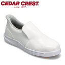 セダークレスト CEDAR CREST CC-5002M メンズ靴 靴 シューズ 2E スニーカー スリッポン スパットシューズ(軽作業タイプ) 耐油底 厨房靴 コックシューズ 樹脂先芯 安全靴 手を使わずに履ける ローカットスニーカー 人気 ブランド ホワイト TSRC