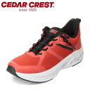 セダークレスト CEDAR CREST CC-9950 メンズ靴 靴 シューズ 3E相当 スニーカー フィットビーンズ 履きやすい ローカットスニーカー スタイ...