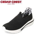 【EC限定カラー】スパットシューズ(スリッポンタイプ)セダークレスト CEDAR CREST CC-2510 レディース靴 靴 シューズ 2E スニーカー スリ...