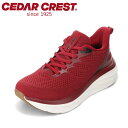 【全品P15倍!15日00:00~24H限定】セダークレスト CEDAR CREST CC-9900W レディース靴 靴 シューズ 3E スニーカー 厚底 クッション性 衝撃吸収 弾力性 高反発 伸縮性 柔らかい フィット ニット ローカットスニーカー 反射材 ワイン TSRC