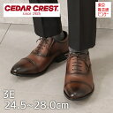 【全品P10倍!4日20:00〜28H限定】セダークレスト ビジネスシューズ メンズ 革靴 ブラウン 茶色 幅広 ワイド 大きいサイズ 軽い 軽量 通勤 仕事 ...