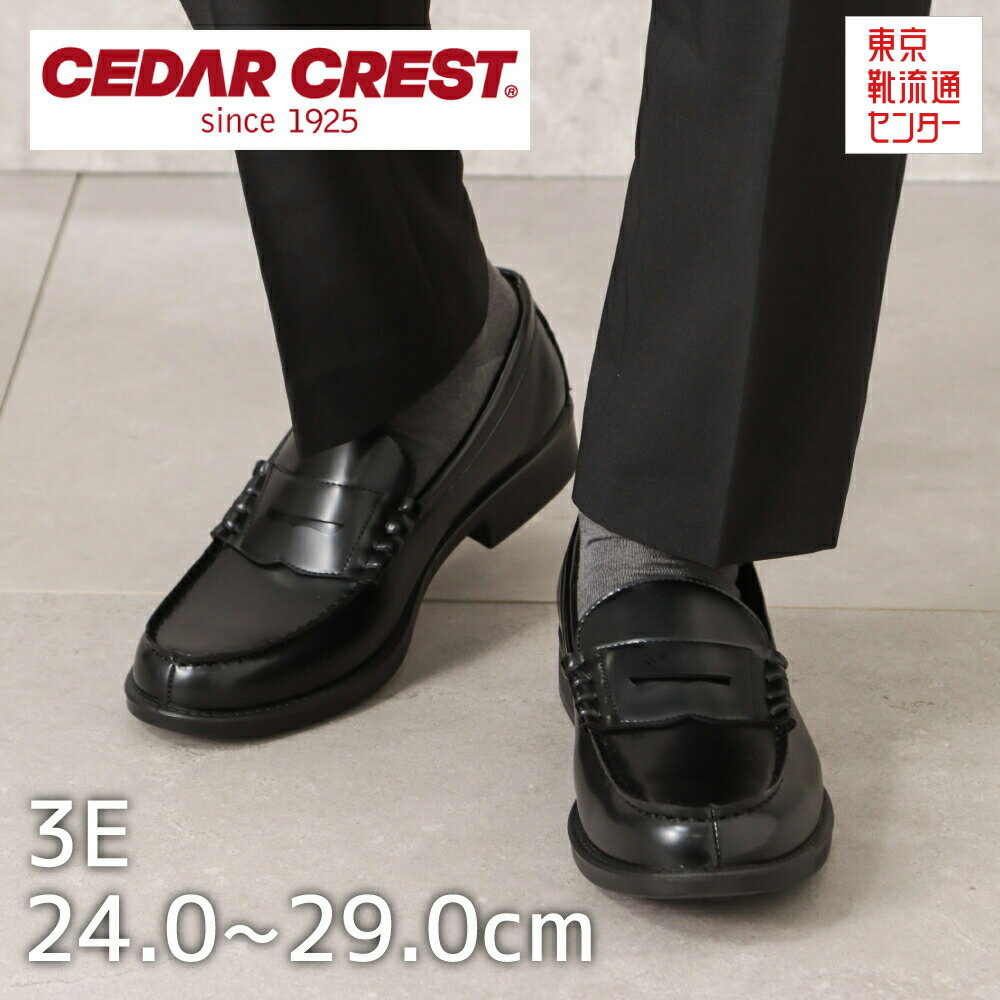 セダークレスト CEDAR CREST CC-1303 メンズ靴 靴 シューズ 3E相当 コインローファー 洗える ウォッシャブル 清潔 学生 通学 学校 オフィス 通勤 通学 ブラック TSRC