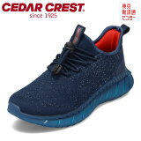 쥹 CEDAR CREST CC-9400 󥺷  塼 2E åȥˡ Ʃ ɿ å ȿȯ  ݡ ˥  ͥӡ TSRC