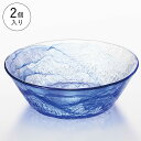 【公式】東洋佐々木ガラス 大鉢 2個 業務用 プロユース 和風そば うどん そうめん 家庭用 ガラス鉢 ギフト 佐々木ガラス