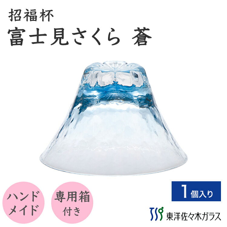 東洋佐々木ガラス富士見さくら杯蒼1...