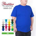 tシャツ メンズ 半袖 無地 Printstar プリントスター 5.6オンス ヘビーウェイト Tシャツ 00085-CVT XXL XXXL ビッグ BIG ...