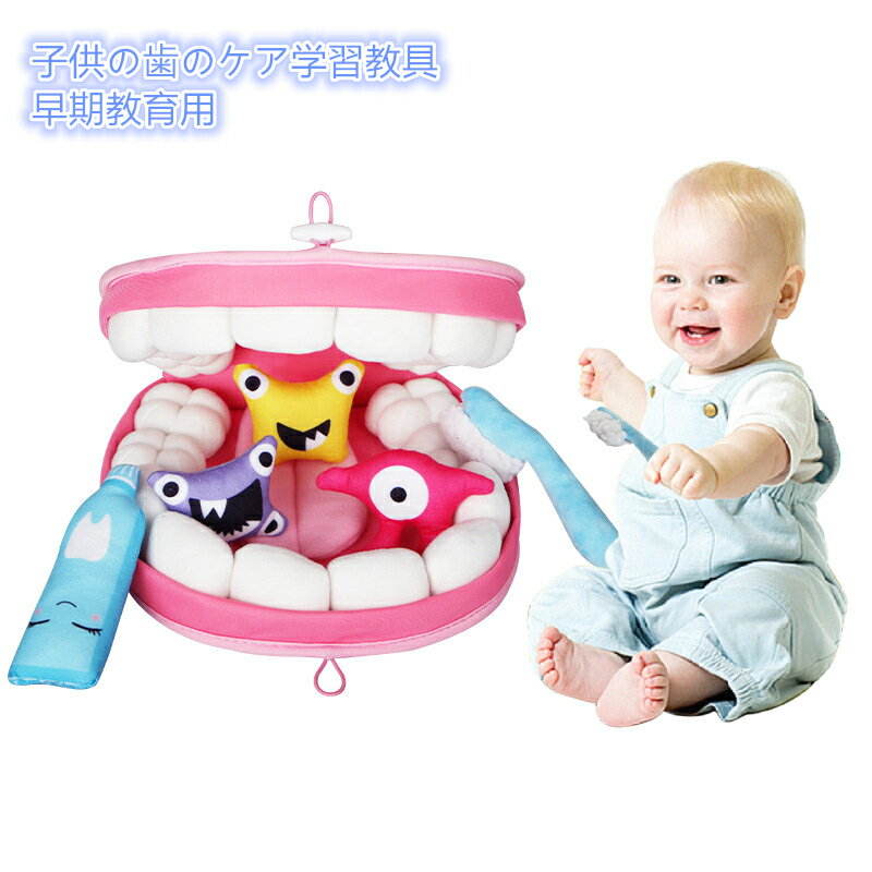 早期教育用 子供の歯のケア学習教具 歯磨き学習 歯の管理習慣