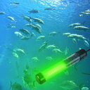水中集魚灯 12v 超高輝度 ledランプ 夜釣りファインダー 水中釣り 尋餌器 海 ボート 緑/青/白(4)