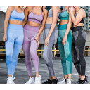 トレーニングウェア レディース ヨガウェア ブラ パンツ レギンス ジム 上下セット