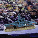 水族館の難破船の装飾.テーブル用のクラフト隠れ家洞窟.