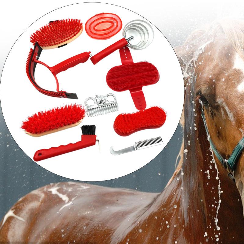 馬のグルーミングセット.ライダーとオーナーのための10点キット