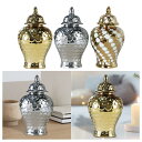 セラミックジンジャージャー セラミックフラワーベース 蓋付き ホームデコレーション デスク ウェディング フラワーアレンジメント ディスプレイ 寝室 セラミック...