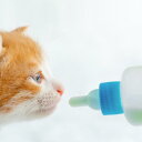 4個子犬子猫フィーダーボトルペット犬猫静水ミルクフィーダーキット