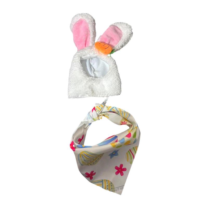 コート像のために帽子とよだれかけを備えた2倍ガチョウの衣装