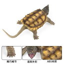 カミツキガメ フィギュア オーナメント 就学前学習玩具 キッズプレイセットモデル用