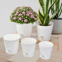 5x 自動給水プランターポット Lazy People 排水穴付き.花