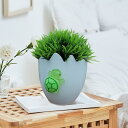 白い卵殻の植木鉢.面白い.かわいい合成樹脂像