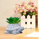 タートル多肉植物プランターオーナメント リアルなテーブルトップカフェリビングルーム用
