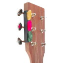 ギターピックディスプレイケース ギターピック3個付き ギタリスト・ミュージシャン向けポータブル