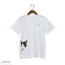 Tシャツ マスク 付き　男女兼用 PEEPING CAT　プリント T シャツ ハチワレ ネコ　ホワイト　Lサイズ