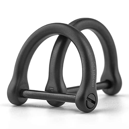 TISUR チタン Dリング ブラック スマートキー用に dカン DIY レザークラフト バッグ ストラップ 財布用のパーツ (特大/ねじ棒21mm-艶消し/ブラック 2個)