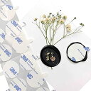 XYUE シーリング スタンプ 用 両面シール 30mm 専用 丸 透明 耳つき 強力 はがせる シーリングワックス 両面テープ【200枚】