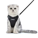 Rabbitgoo 猫 ハーネス リード セット 小型犬 犬猫兼用 抜けない はーねす ソフト胸あて 軽量 足を上げず装着完成 サイズ調節可 ネコ 散歩 紐 夜...
