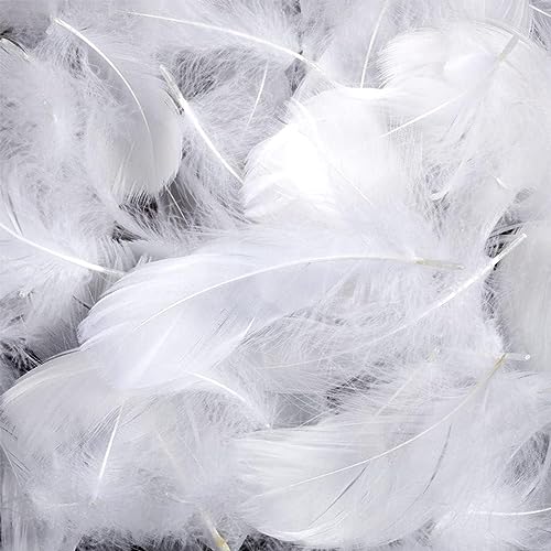 サムコス 羽シャワー カラフル 天然 染め羽根 DIY装飾小物 ウェディング 誕生日 イベント パーティー 手芸材料 (ホワイト 200枚)