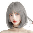 ウィッグ 姫カットストレート フルウィッグ ストレート 姫髪 レディーズ ストレート自然 小?劾果 原宿ロリータ女性用 ぱっつん前髪 wigネット付き (シルバーグレー)(4)