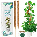 YOUSHY 園芸支柱 114CM 観葉植物モンステ ラ 支柱 ヘゴ支柱つる性植物 ココスティック支柱 植物サポート 維持水分 養分維持 ココナッツ支柱 ガーデ...