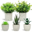 Y-Step フェイクグリーン 人工観葉植物 5点セット 観葉植物フェイク 鉢植え ふぇいくぐりーん 造花 観葉植物 セットフェイクグリーン ミニ 観葉植物 フェイク セット インテリア 可愛い 人工観葉植物 小さい 観葉植物フェイク小型 ミニ 観葉植物 人工植物インテリア インテリ