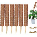YOUSHY園芸支柱 観葉植物モンス テラ支柱 ガーデニングつる性植物ココスティック支柱 観葉植物花支え 農業用園芸用(6個40cm支柱+2m麻縄)