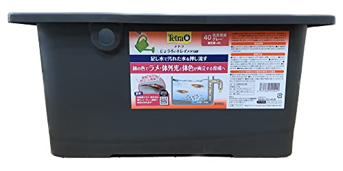 テトラ (Tetra) じょうろでキレイメダカ鉢 40 色光育成グレー