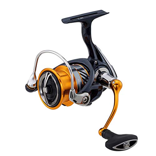 _C(DAIWA) XsjO[ 20 uX LT3000-CH(2020f)