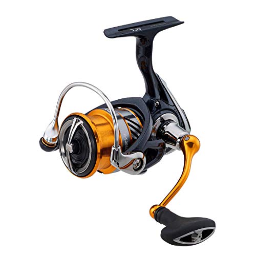 _C(DAIWA) XsjO[ 20 uX LT2500S-H(2020f)