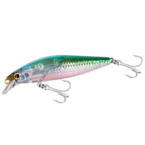 シマノ(SHIMANO) シーバスルアー ミノー エクスセンス サイレントアサシン 80S フラッシュブースト XM-280W 007 Nカタクチ