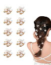 YFFSFDC 前髪クリップ 真珠のヘアクリップ ミニ ヘアクリップ バンスクリップ 可愛い 髪飾り ヘアアクセサリー 髪留め レディース 結婚式 パーティー ...