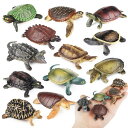 【AAGWW】動物モデル 両生類爬虫動物 カメ 飾り セット クリスマス 新年のギフト 子供 おもちゃ(デザイン:リアルな亀の模型,合計12種スタイル)